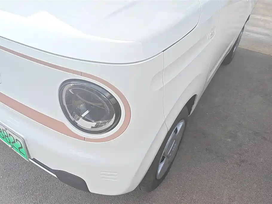Geely Galaxy Panda 2024 Panda mini 200km Endurance Bear фото 5
