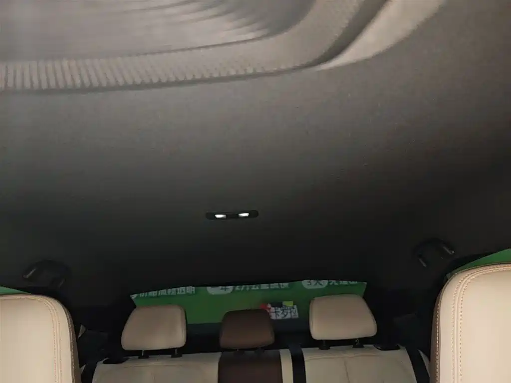 BYD Qin PLUS 2024 Glory Edition DM-i 55KM Leading фото 18