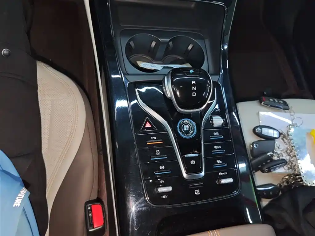 BYD Qin PLUS 2024 Glory Edition DM-i 55KM Leading фото 14