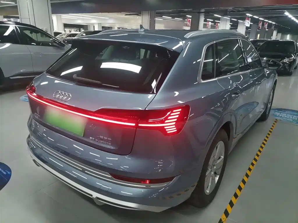 Audi e-tron 2021 50 quattro Luxury фото 6