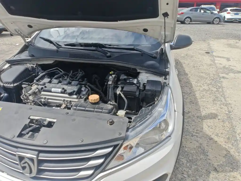 Baojun 310W 2021 2020 1.5L Auto Sport Edition China VI