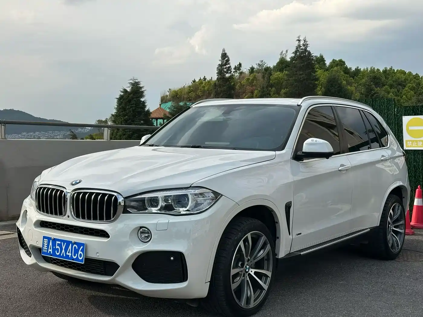 BMW X5 (Import) 2018 xDrive35i Premium Model