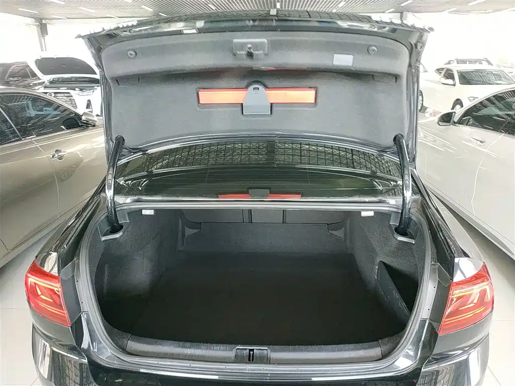 Volkswagen Magotan 2020 330TSI DSG Leading фото 19