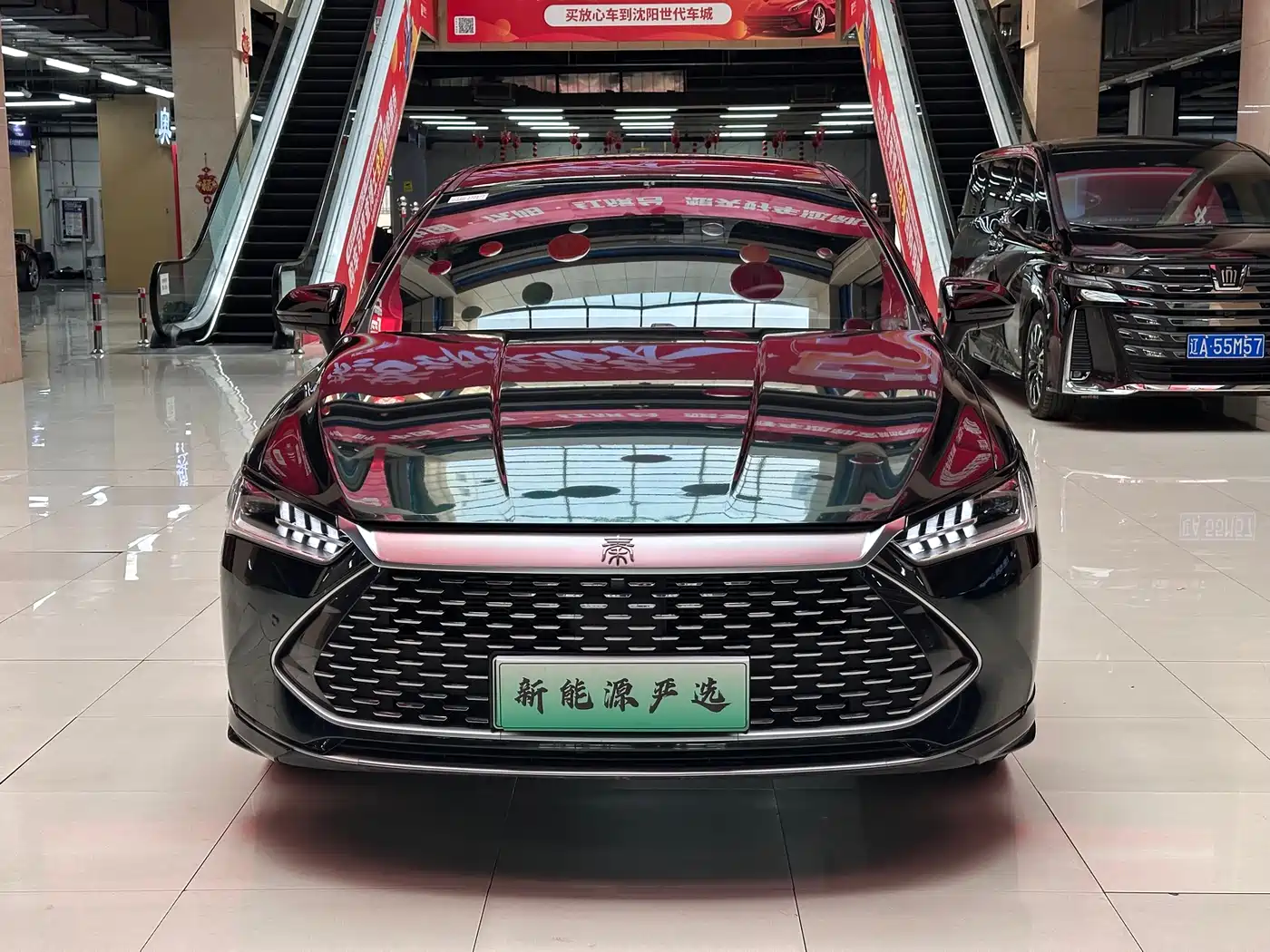 BYD Qin PLUS 2024 Glory Edition DM-i 55KM Leading фото 2