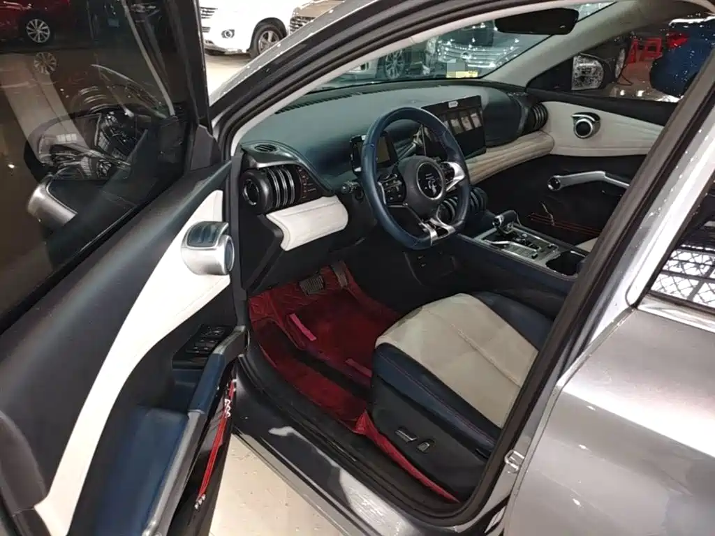 BYD Yuan PLUS 2022 510KM Flagship фото 16