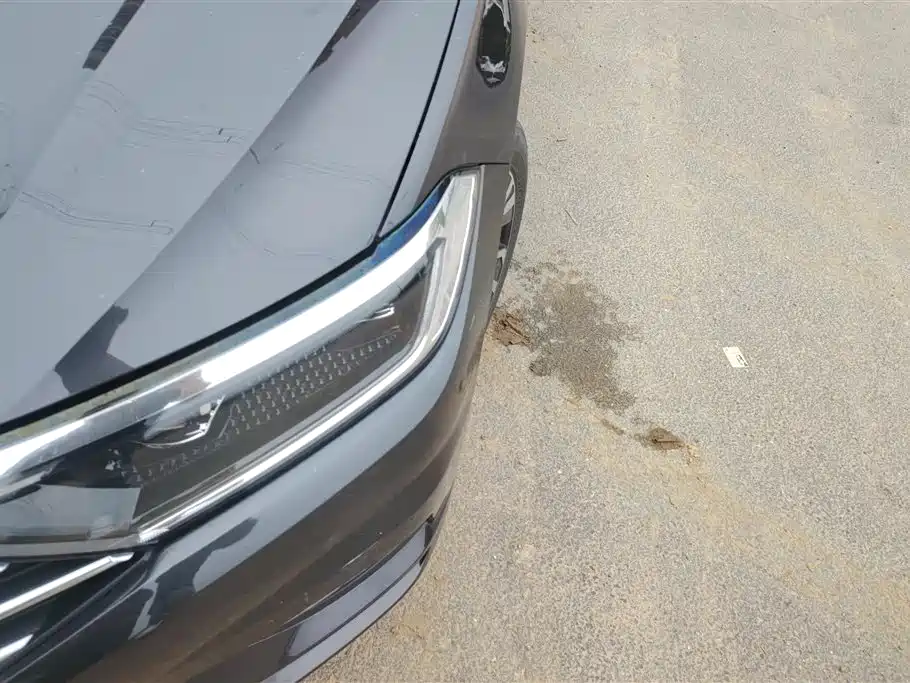 Volkswagen Sagitar 2021 280TSI DSG Surpassing Edition фото 5