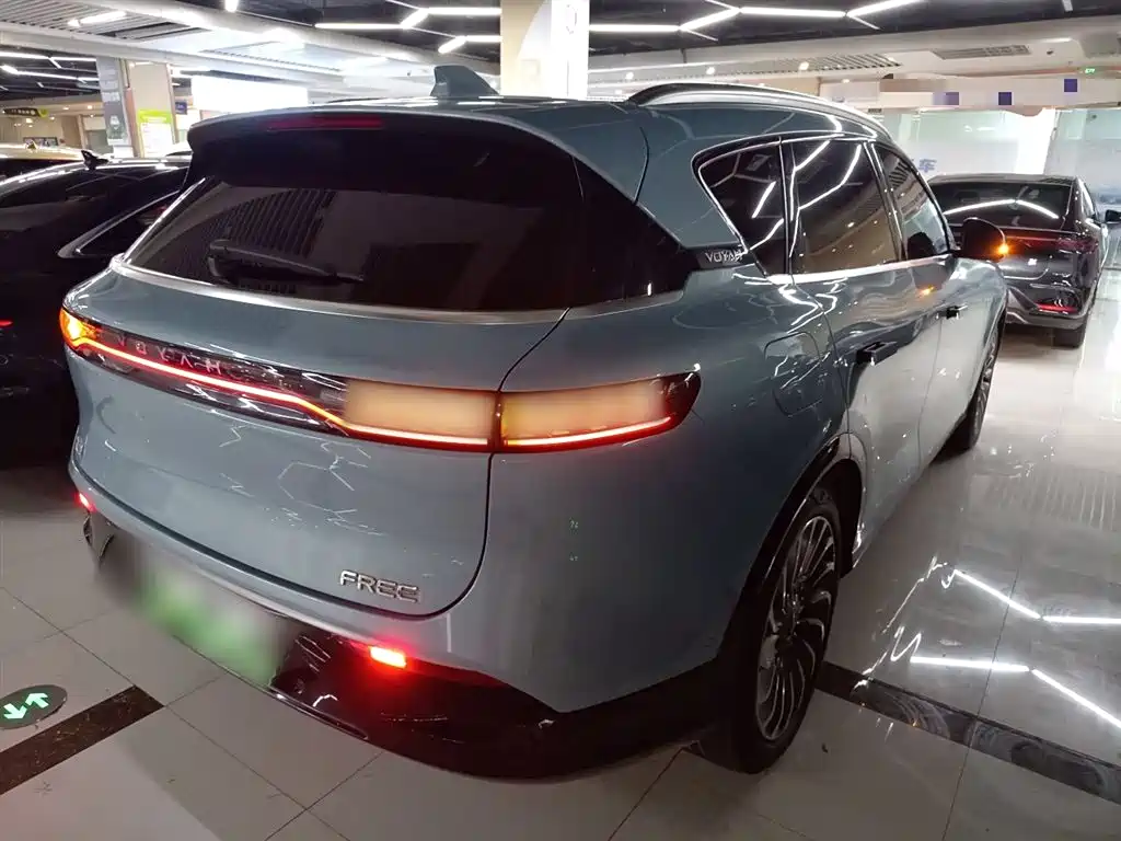 Voyah Auto VOYAH FREE 2021 AWD Standard Range Extender Exclusive Luxury Package фото 27