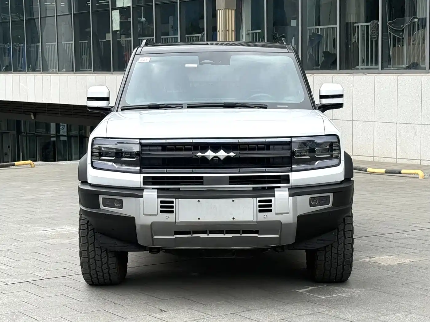 FANG CHENG BAO LEOPARD 5