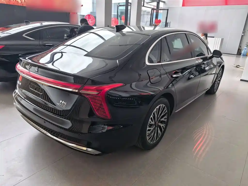 Hongqi H5 2024 2.0T Automatic Smart Connect Flag Smooth Edition фото 9