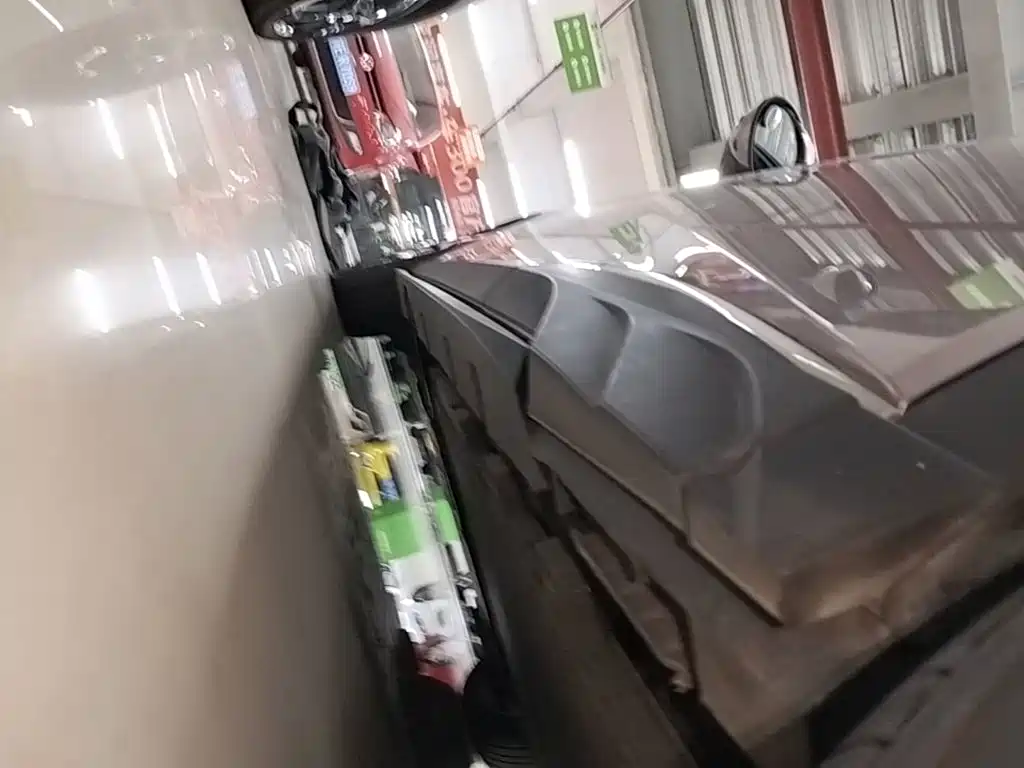 BYD Dolphin 2021 2021 401km Knight Edition