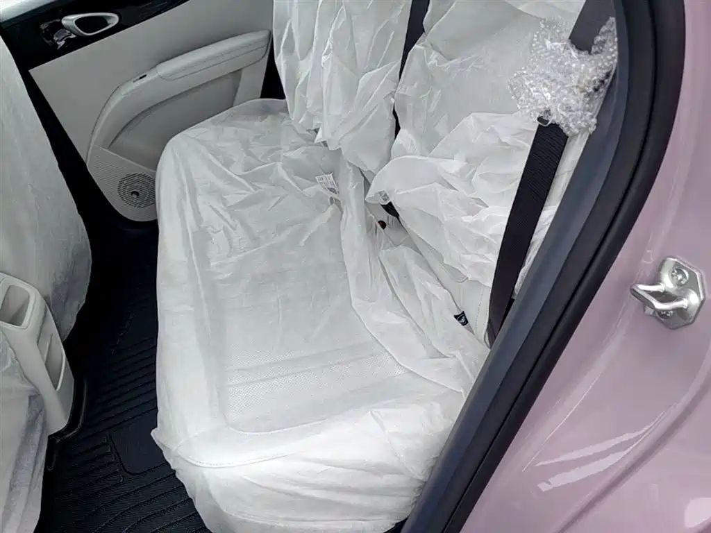 Geely Galaxy Starry Wish 2026 Edition 310km Youth Version фото 17