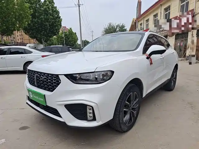  WEY Wey VV5 2020 1.5T 2WD Style Pioneer
