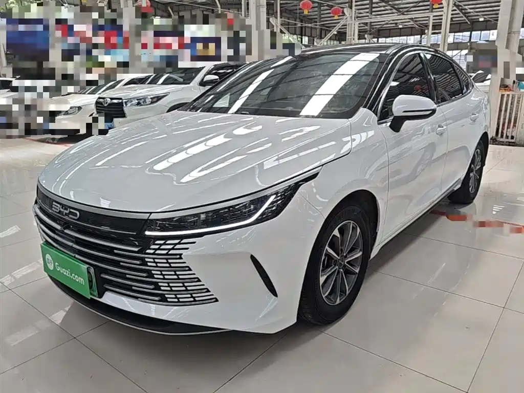 BYD Destroyer 05 2024 Glory Edition DM-i 55KM Luxury фото 2