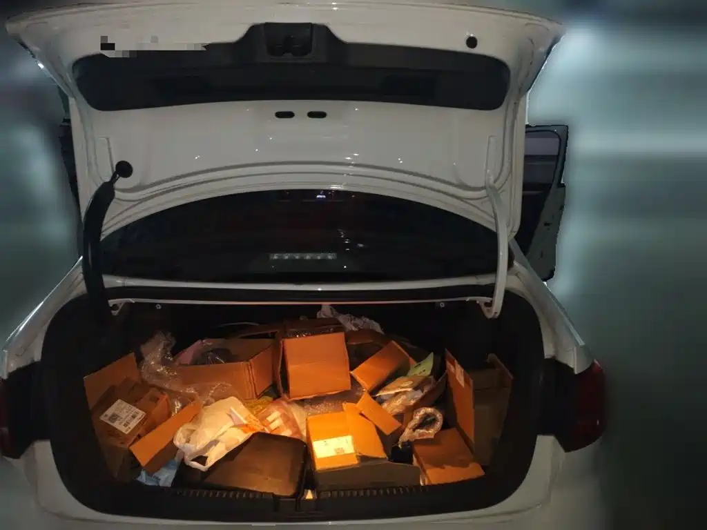Photo 10 - Volkswagen Sagitar