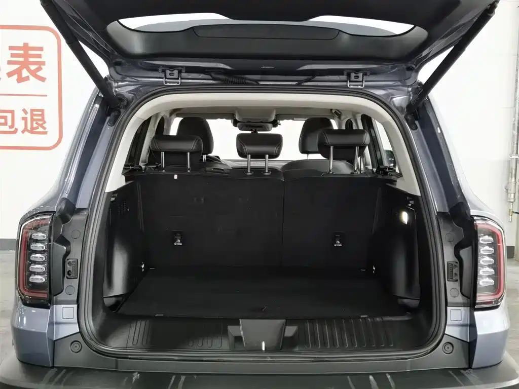Haval Big Dog 2024 1.5T DCT Border Collie Edition фото 16
