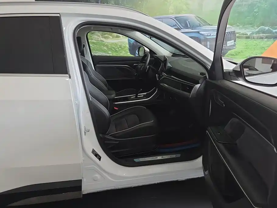 Haval Haval H6 2021 Model 1.5T Automatic Champion Edition 8