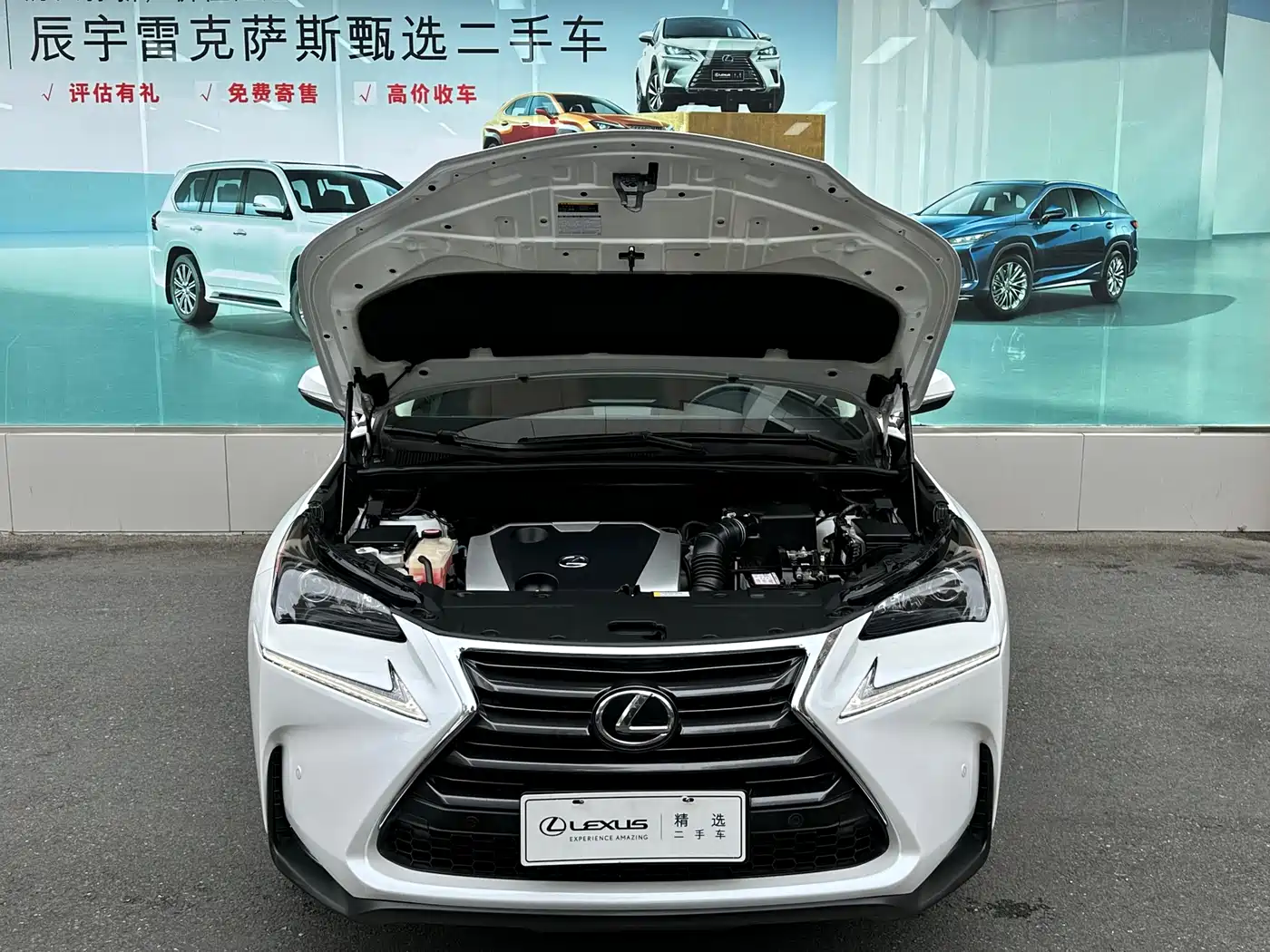 Lexus NX 2016 200 AWD F Sport фото 5