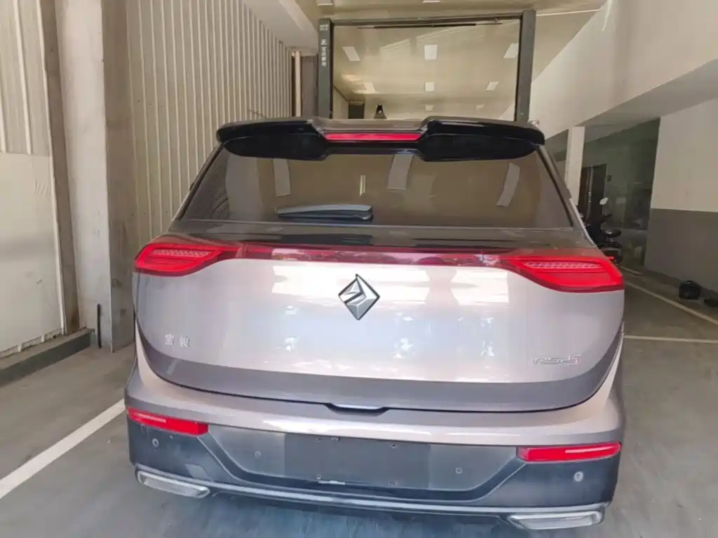 Фото 6 - Baojun RS-5
