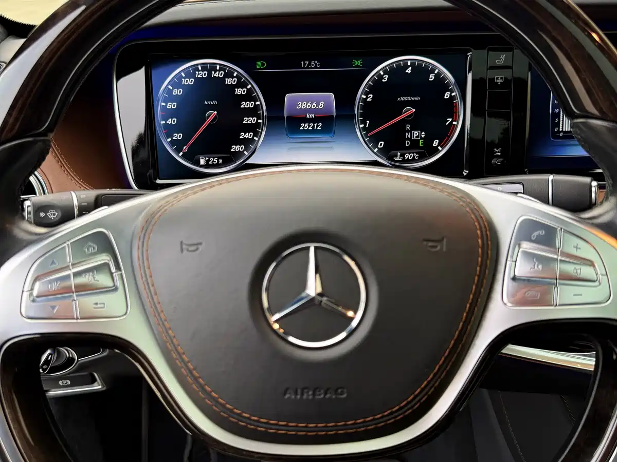 Mercedes-Benz S-Class 2014 S 600 L фото 27