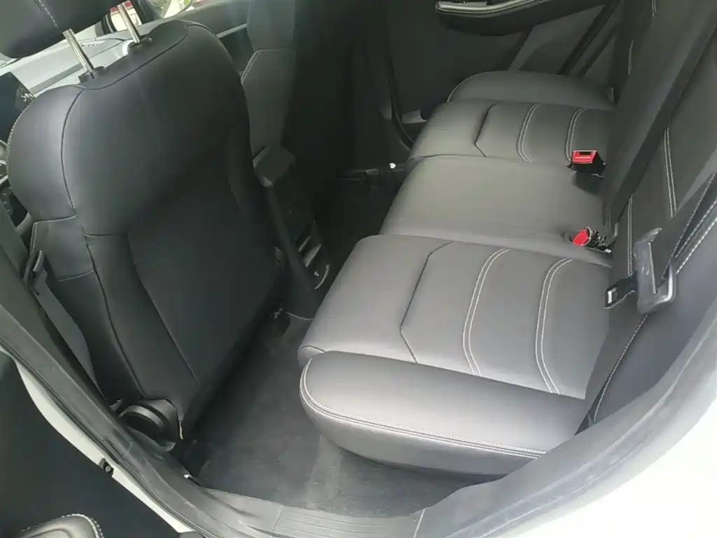 BYD Yuan New Energy 2019 EV535 High Energy Navigation Edition фото 17