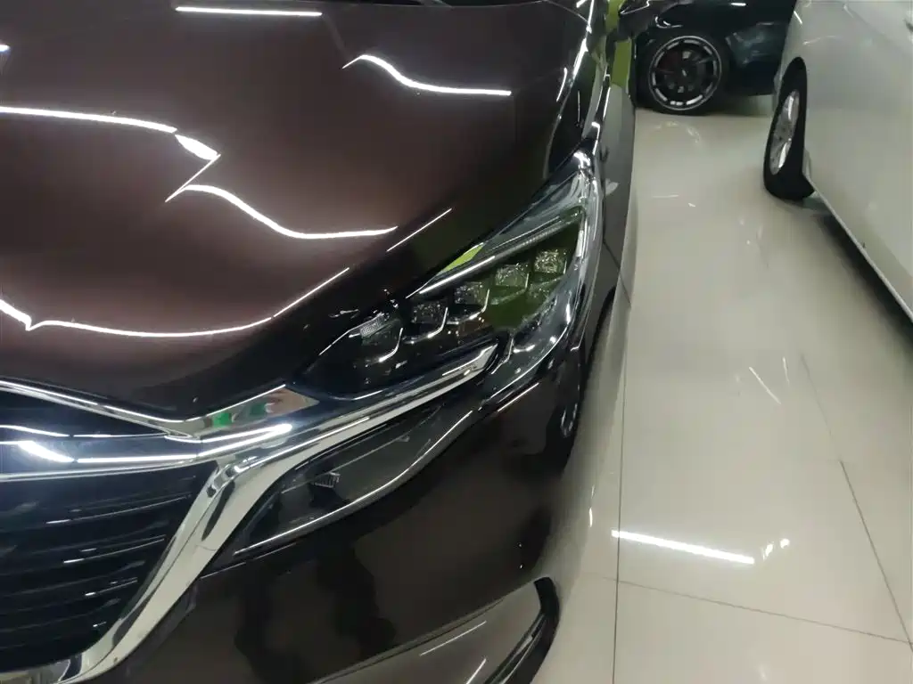 Buick GL8 2021 ES Landlord 653T Luxury фото 19