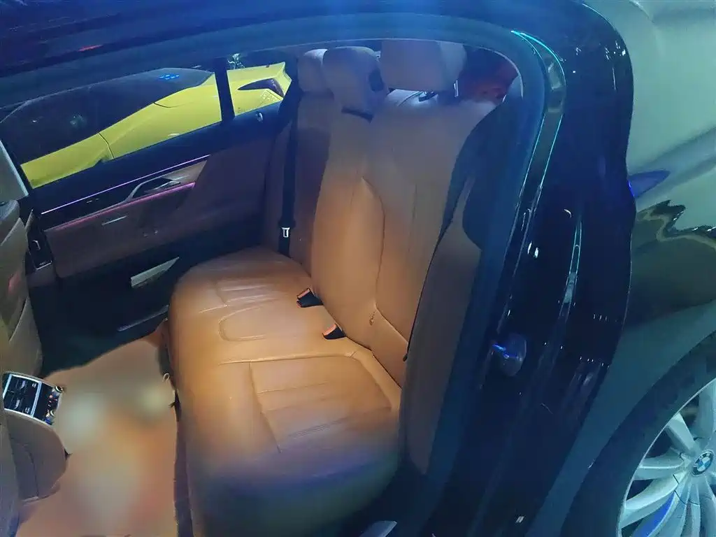 BMW 7 Series 2018 730Li Leading Type Excellence Package фото 15