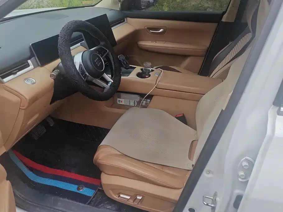 Landian E5 PLUS 2024 2025 165km Long Range 5-seater