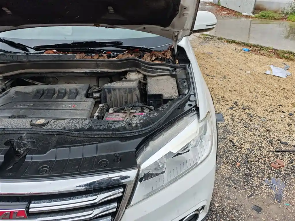 Haval H6 2017 Red Label Sport 1.5T Manual 2WD Elite фото 22