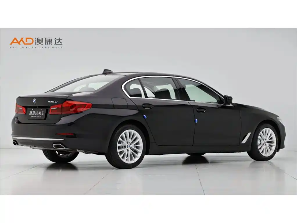 BMW 5 Series 2020 530Li Premium Luxury Package фото 3