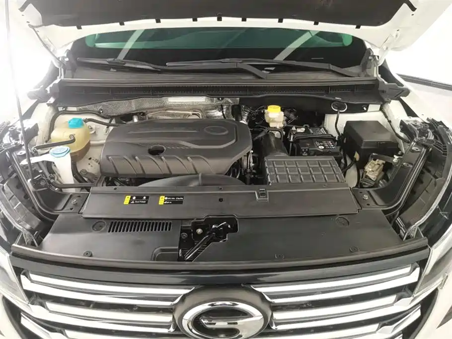 GAC Trumpchi Trumpchi GS4 2022 270T Manual Elite Edition фото 10