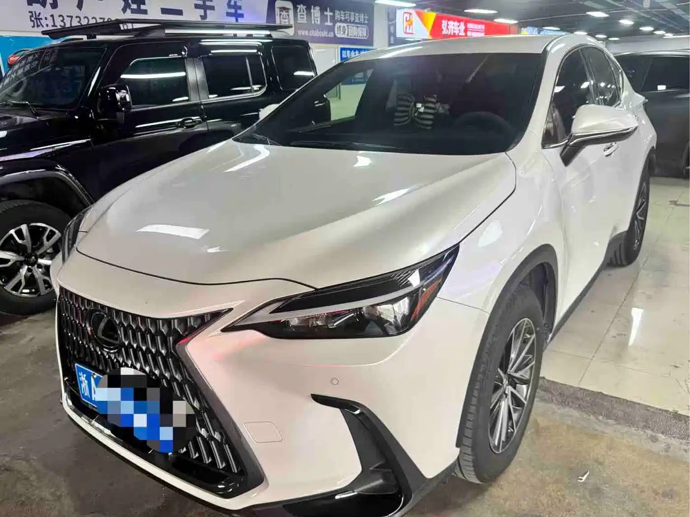 Lexus NX 2023 2022 260 FWD Innovation Edition