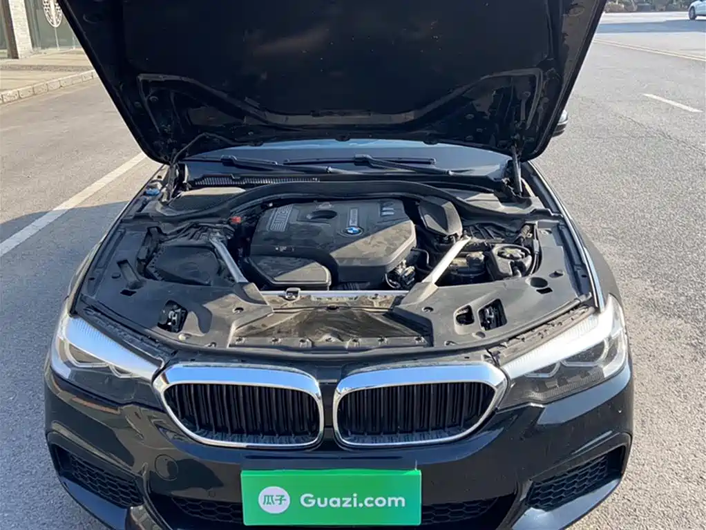 BMW 5 Series 2020 525Li M Sport Package фото 11