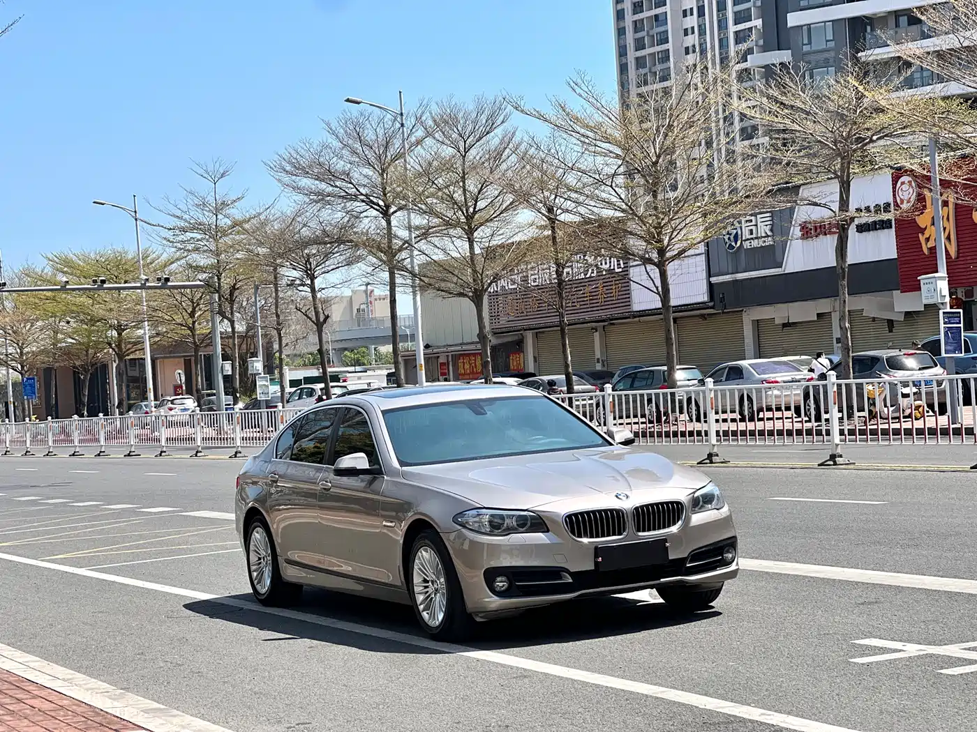 BMW 5 Series 2014 525Li Leading фото 3