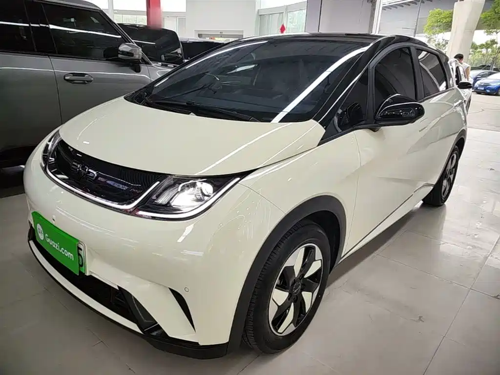 BYD Dolphin 2024 Glory Edition 420km Fashion Edition фото 2