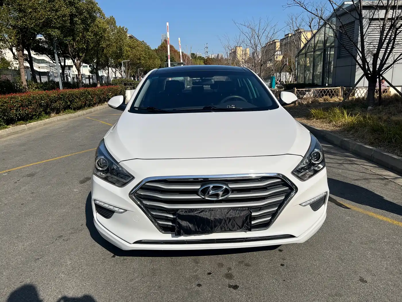 HYUNDAI NAME PICTURE