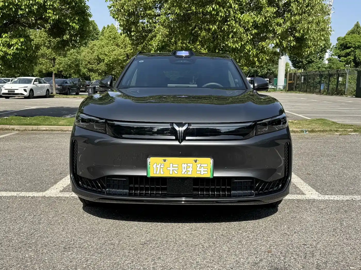 2025 Voyah Auto VOYAH FREE