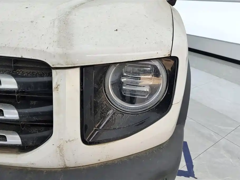 Haval Big Dog 2021 1.5T DCT 2WD Labrador Edition фото 5