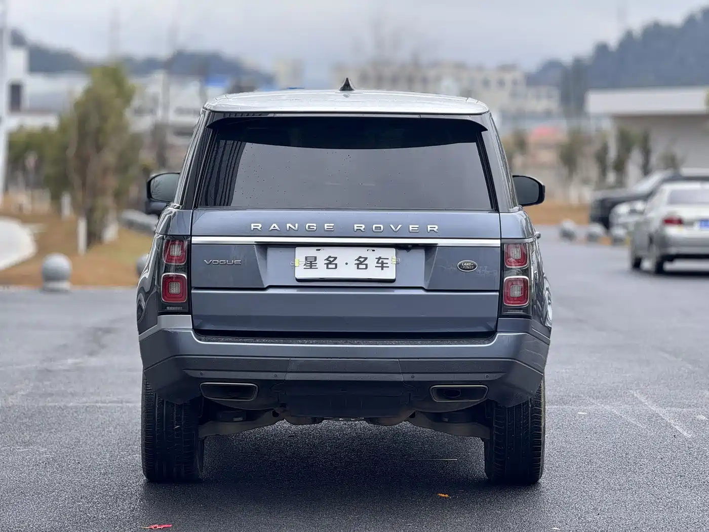 Land Rover Range Rover 2020 3.0 L6 Heritage Edition фото 11