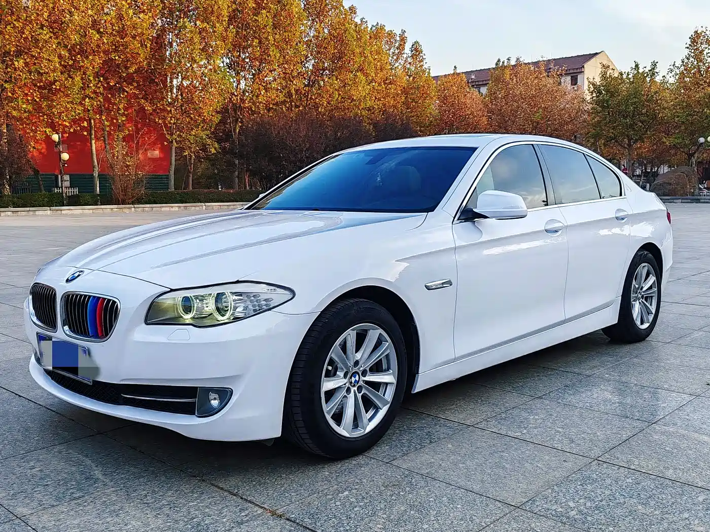 BMW 5 Series 2013 520Li Elegance фото 6