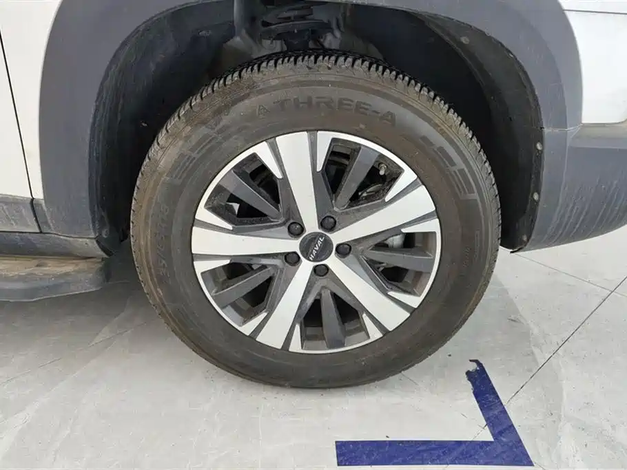 Haval Big Dog 2021 1.5T DCT 2WD Labrador Edition фото 6
