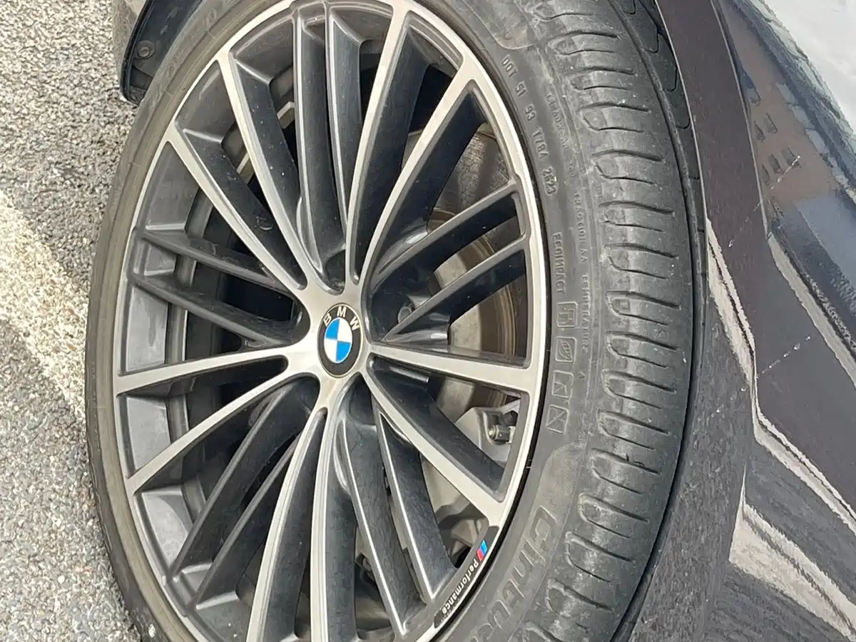 BMW 5 Series 2023 530Li Leading M Sport Package фото 15
