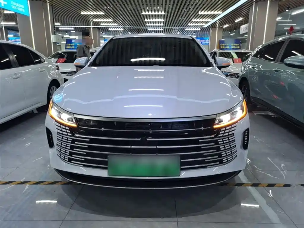 BYD Destroyer 05 2024 Glory Edition DM-i 55KM Luxury фото 3