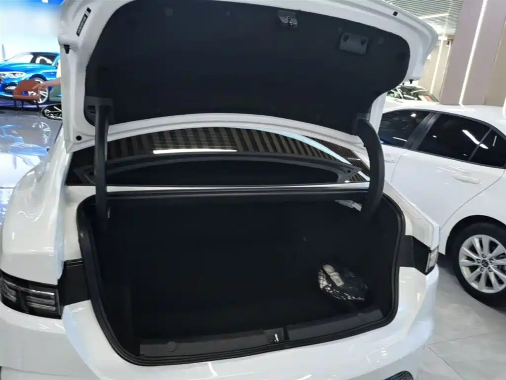 BYD Destroyer 05 2024 Glory Edition DM-i 55KM Luxury фото 19