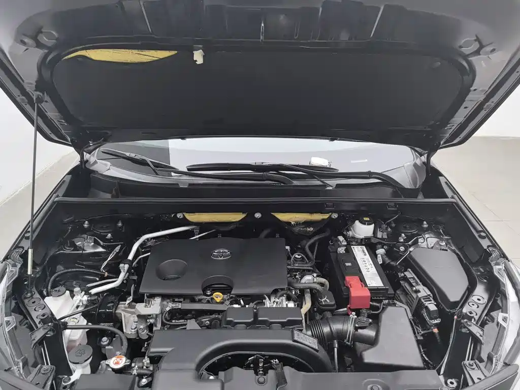 Toyota Wildlander 2021 2020 2.0L CVT AWD Luxury Edition