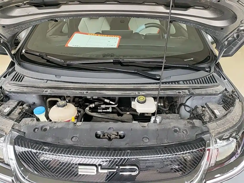 BYD Dolphin 2021 Model 405km Fashion Edition фото 19