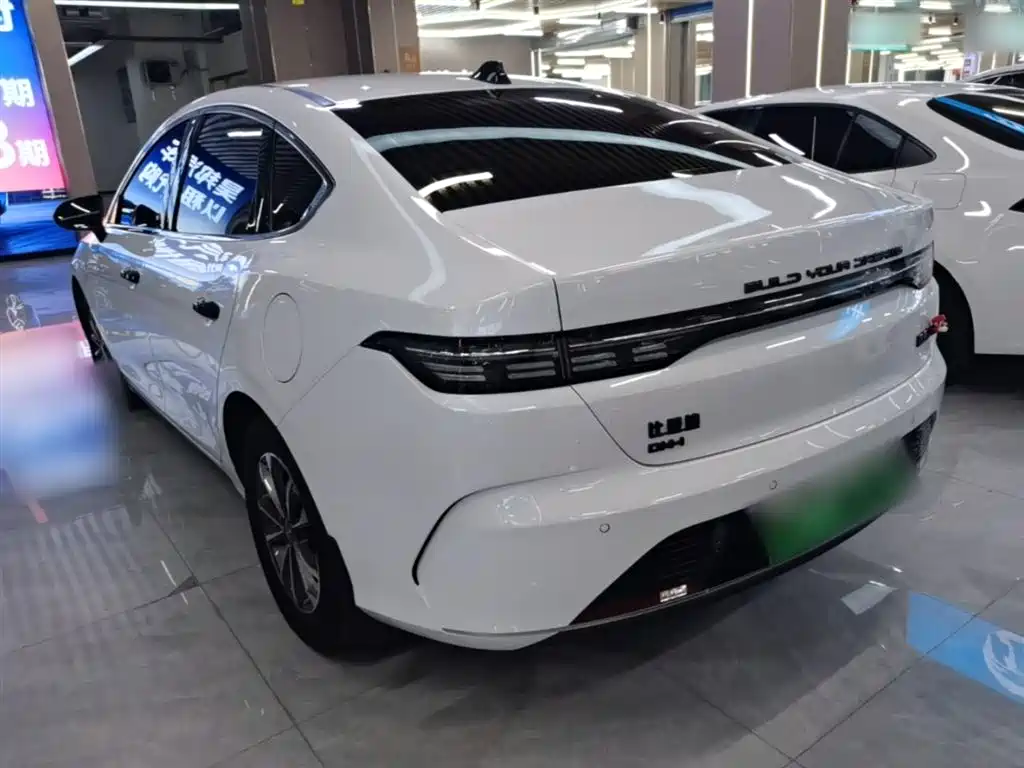 BYD Destroyer 05 2024 Glory Edition DM-i 55KM Luxury фото 5