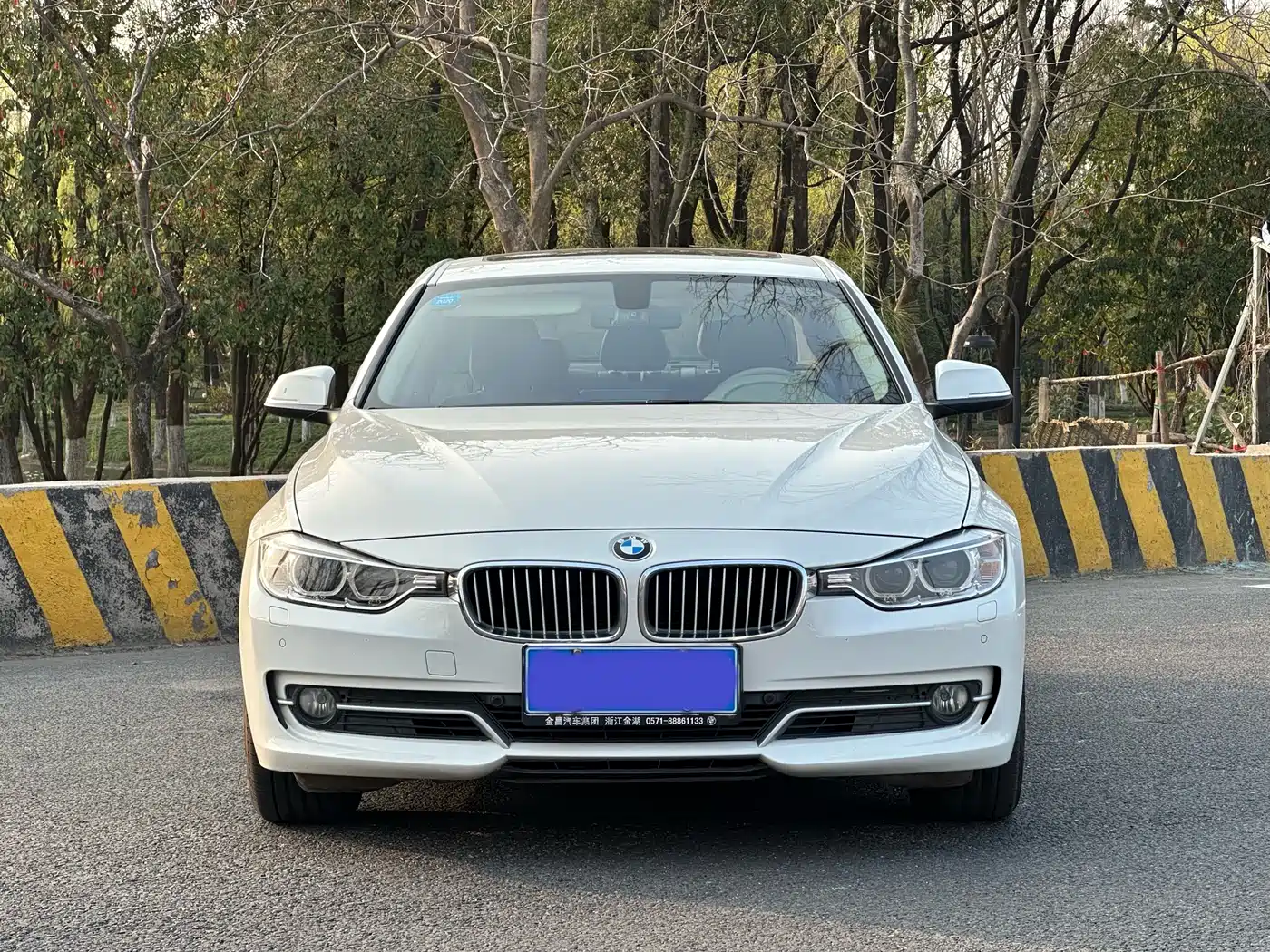BMW 3 Series 2014 320Li Style Design Package фото 2