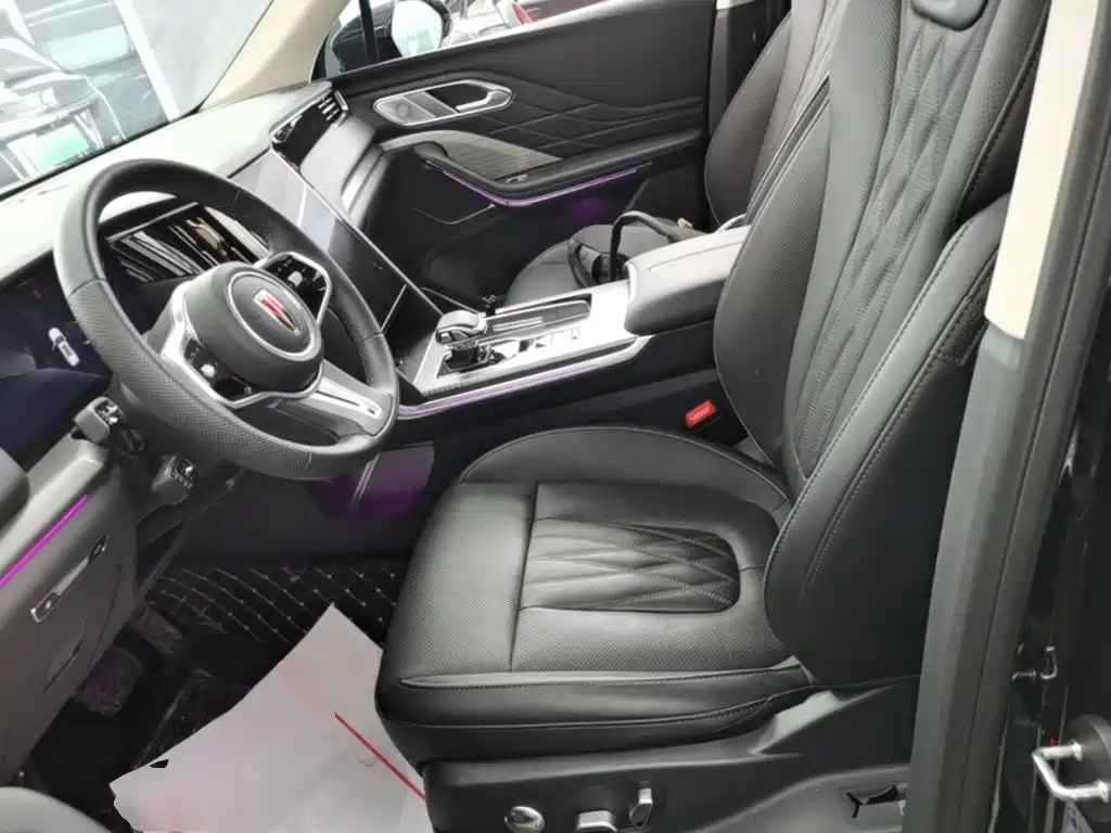 Photo 15 - Hongqi HS7 PHEV