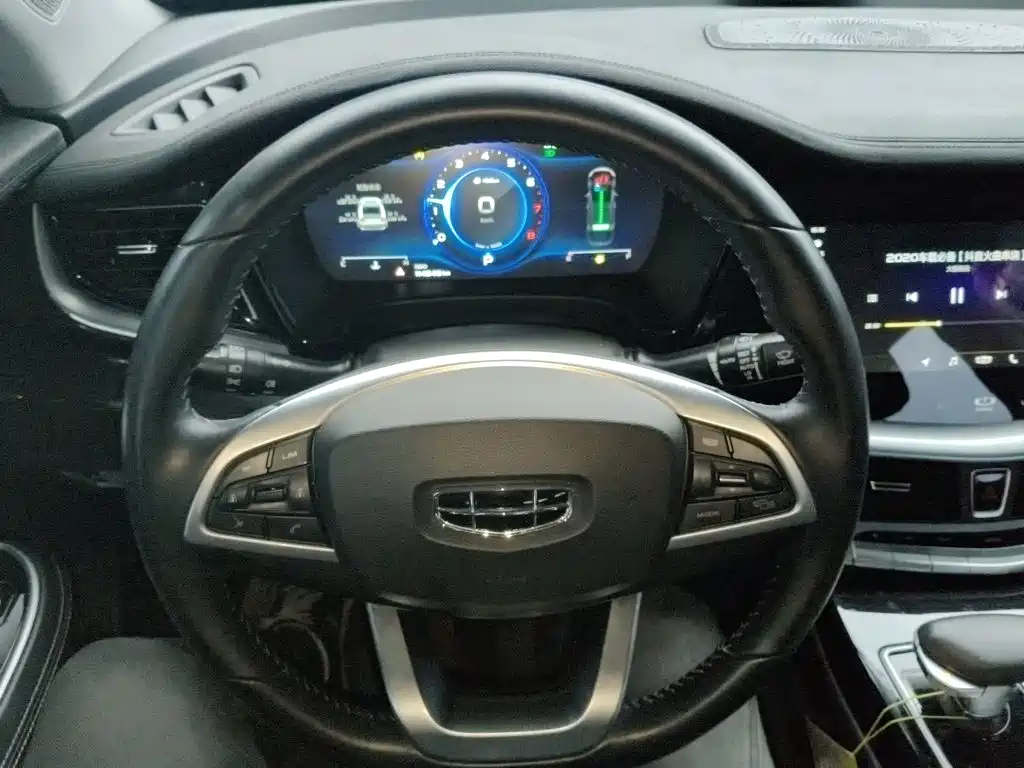 Фото 7 - Geely Borui