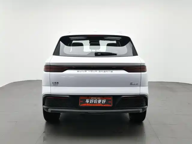 BYD Song Pro New Energy 2023 Champion Edition DM-i 110KM Excellence — фото 4